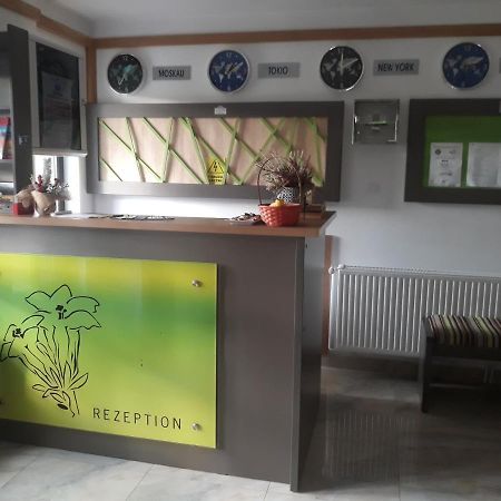 Hotel Nut House Retezat Nucsoara  Exterior foto