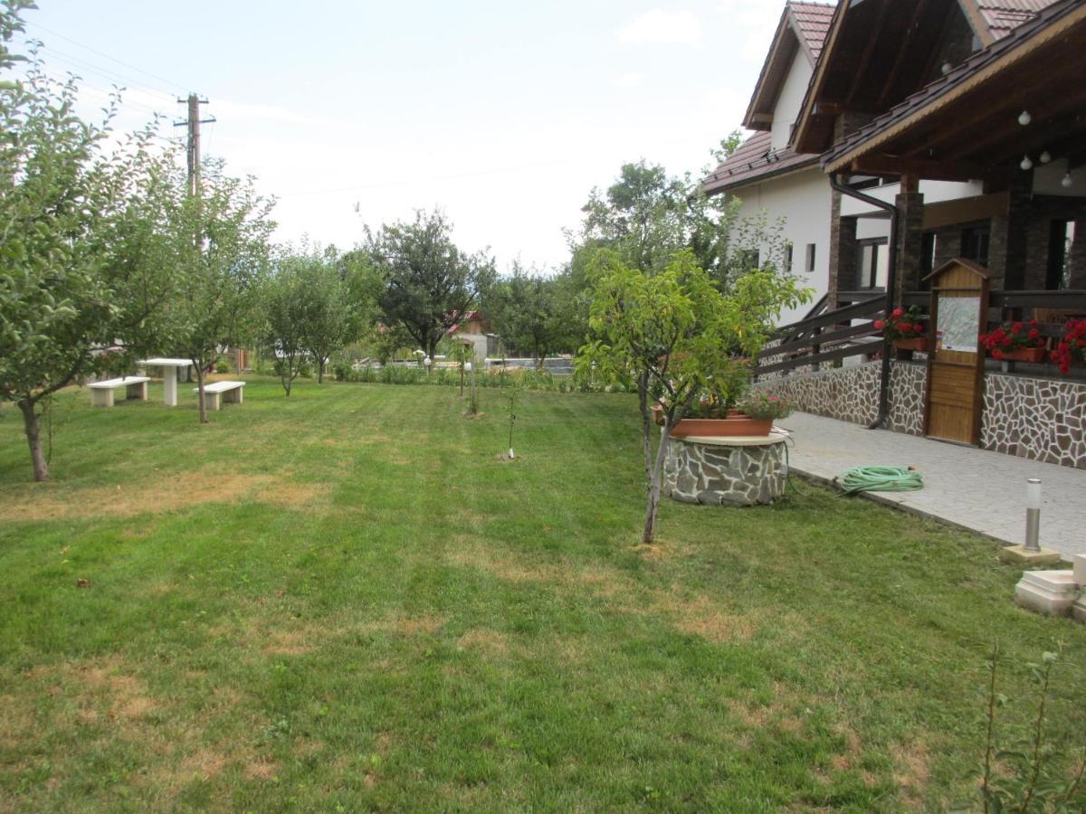 Hotel Nut House Retezat Nucsoara  Exterior foto