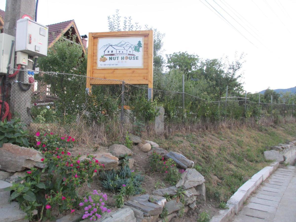 Hotel Nut House Retezat Nucsoara  Exterior foto