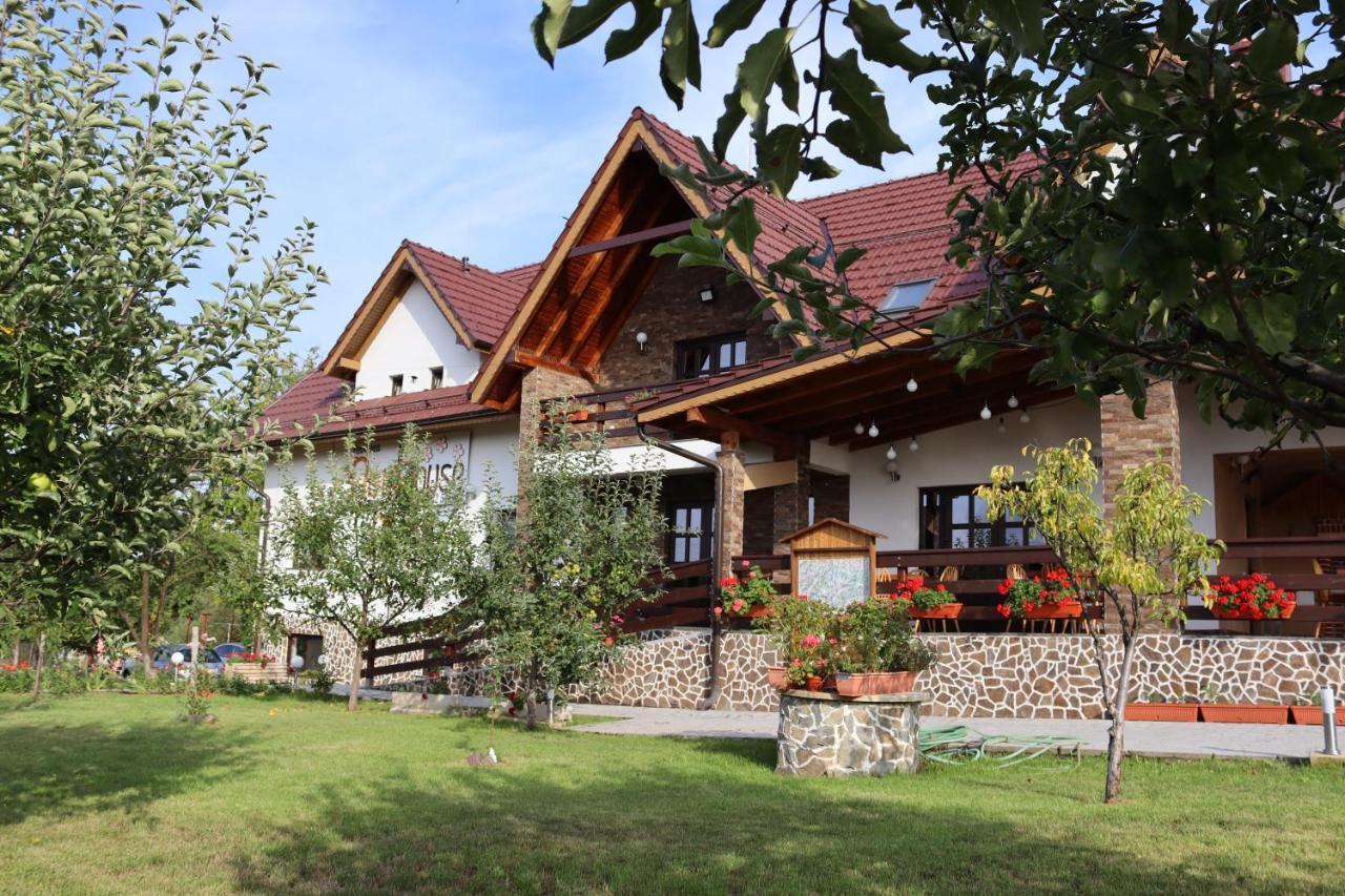 Hotel Nut House Retezat Nucsoara  Exterior foto