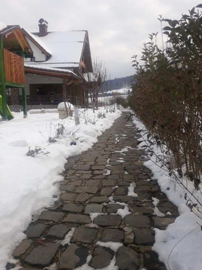 Hotel Nut House Retezat Nucsoara  Exterior foto