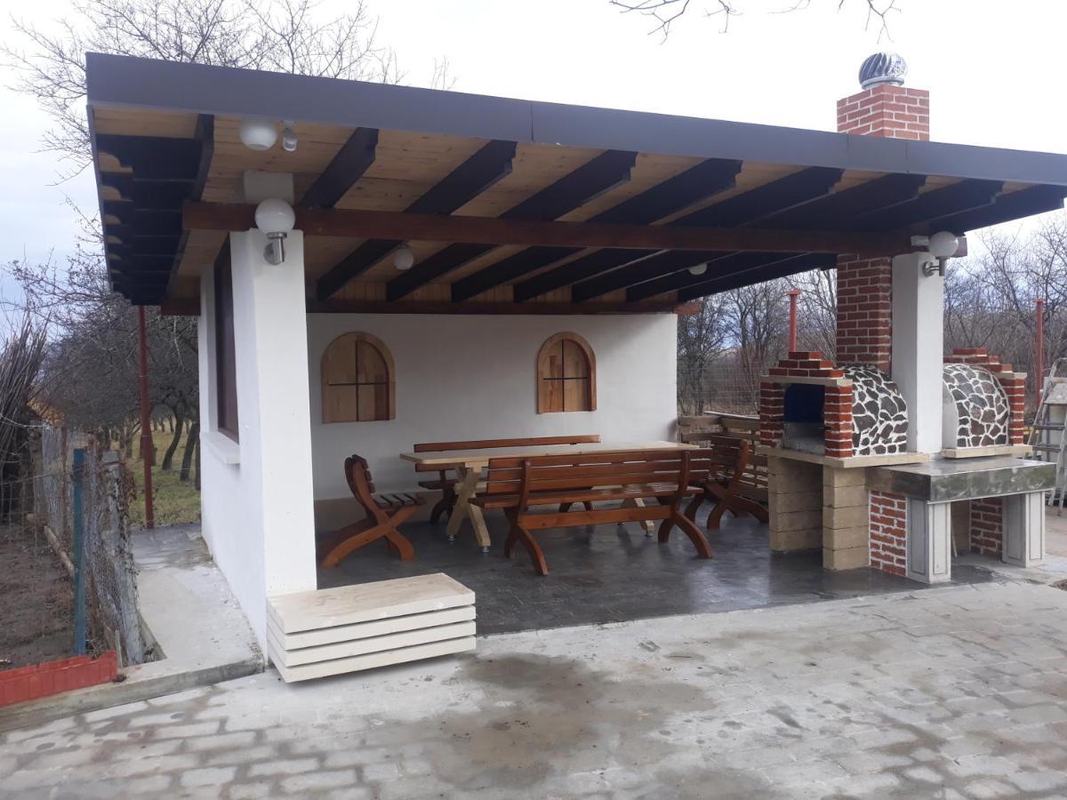 Hotel Nut House Retezat Nucsoara  Exterior foto