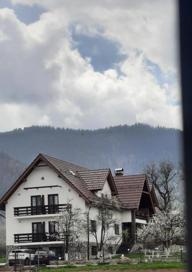 Hotel Nut House Retezat Nucsoara  Exterior foto