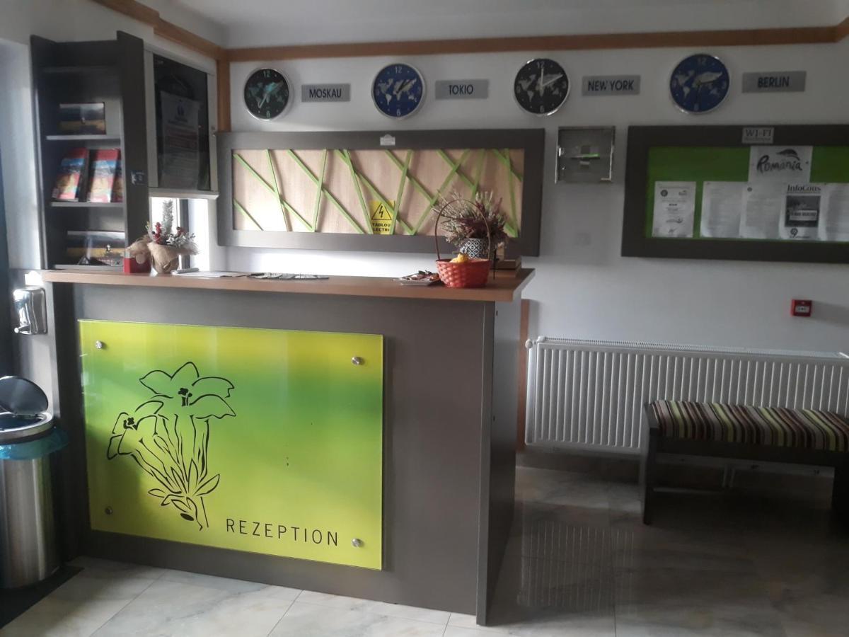 Hotel Nut House Retezat Nucsoara  Exterior foto